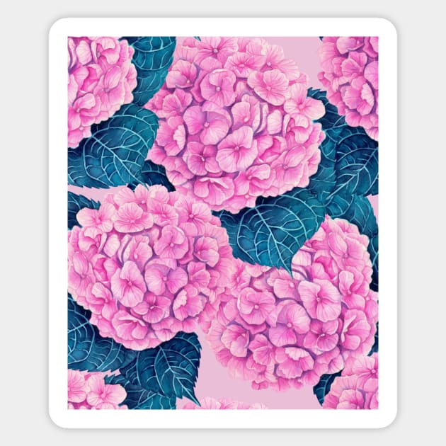Hydrangea watercolor pattern, pink and blue Sticker by katerinamk